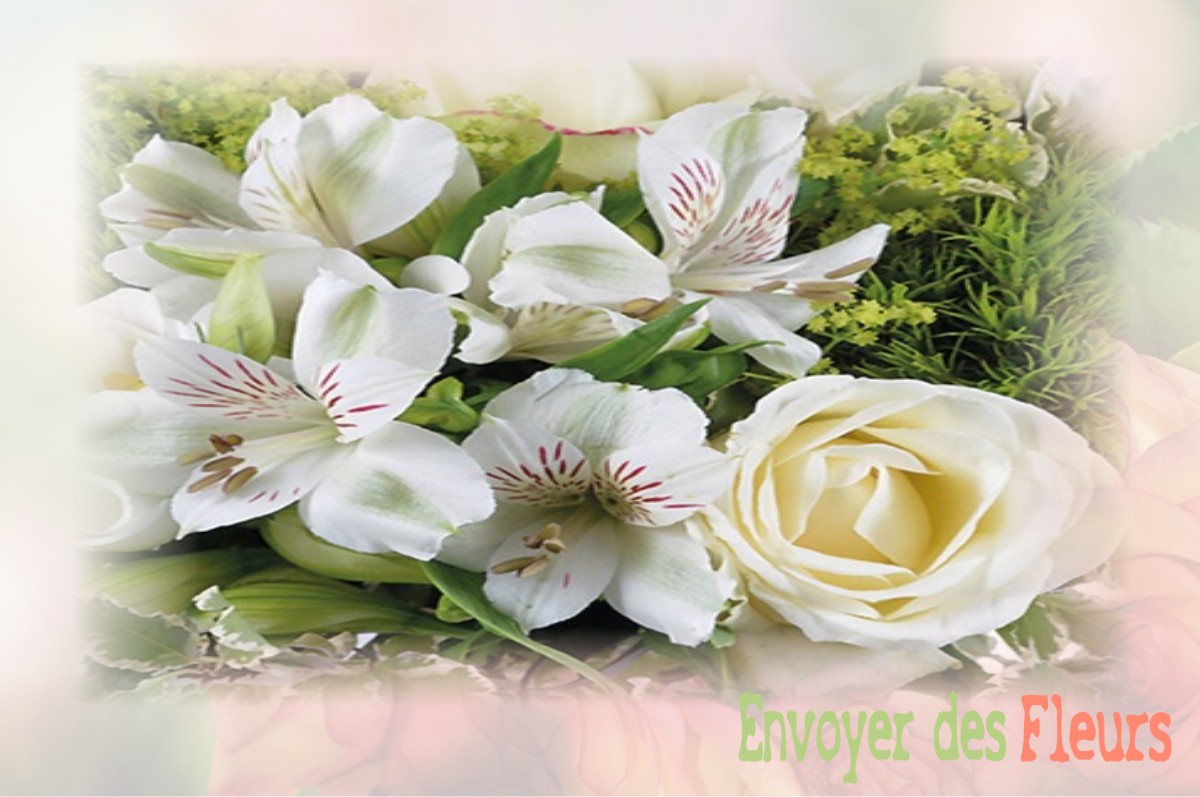 envoyer des fleurs à à TOURNAI-SUR-DIVE